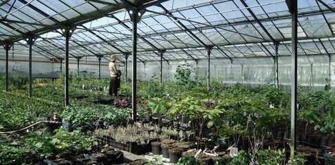 The Lemniscate (thumbnail 4)