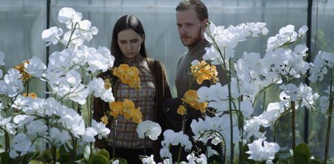 The Lemniscate (thumbnail 5)