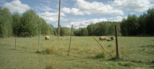 The Revenge (thumbnail 6)