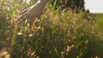 SOMA collections '20 (thumbnail 4)