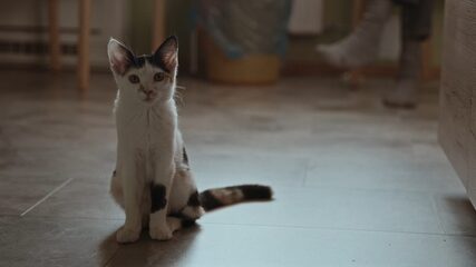 Way Home (thumbnail 15)