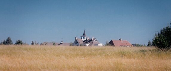 Postmodern. Bold & Beautiful (thumbnail 3)