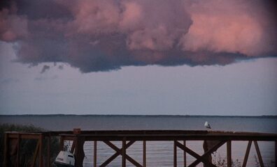 Cohabitants (thumbnail 18)