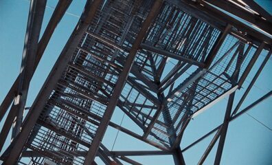 Cohabitants (thumbnail 6)