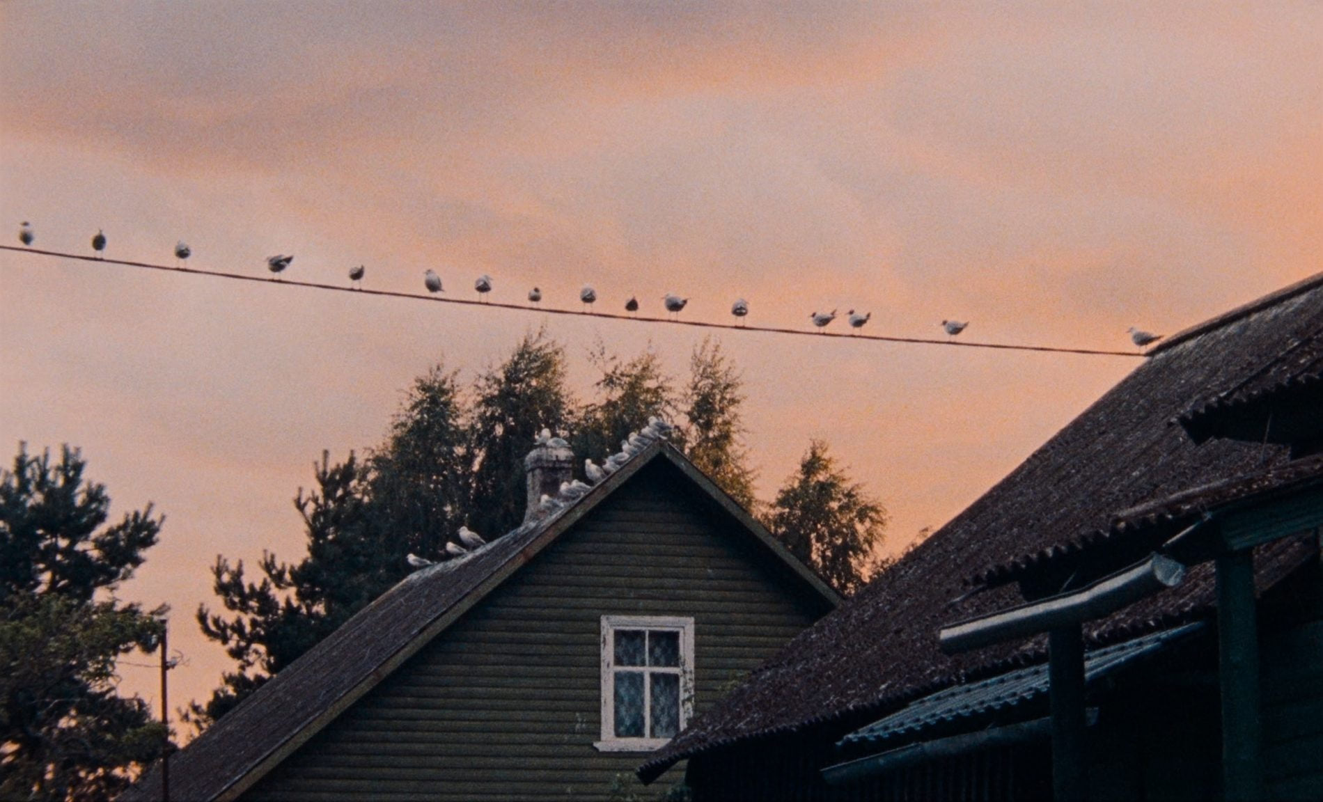 Cohabitants — still 1