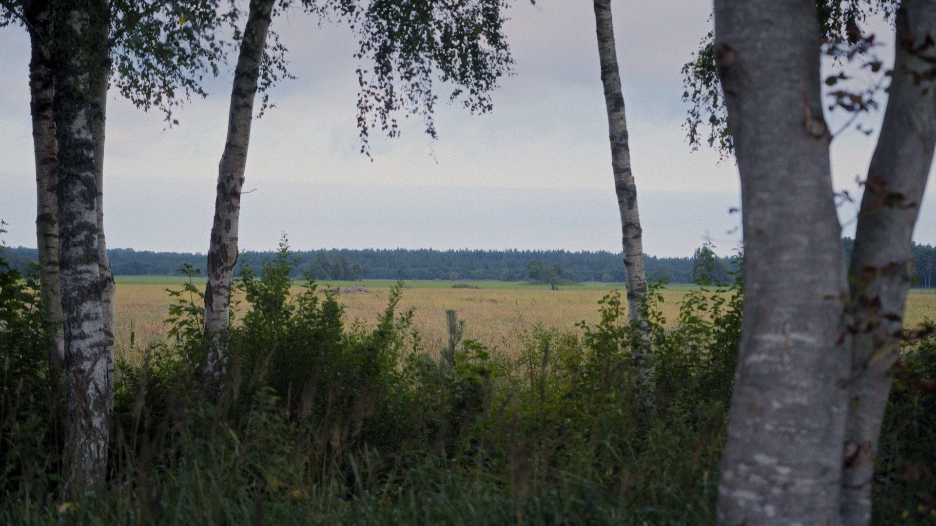 Tanel and chickens. Season 3. — still 24