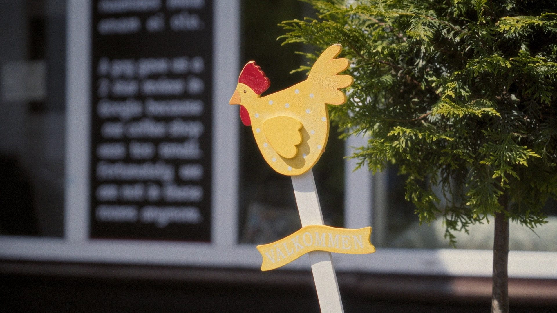 Tanel and chickens. Season 3. — still 21