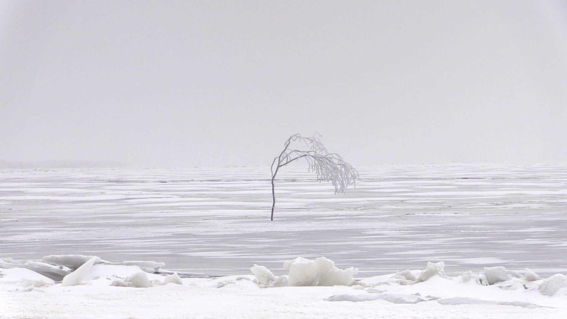 New Rise, Old Ebb — still 3
