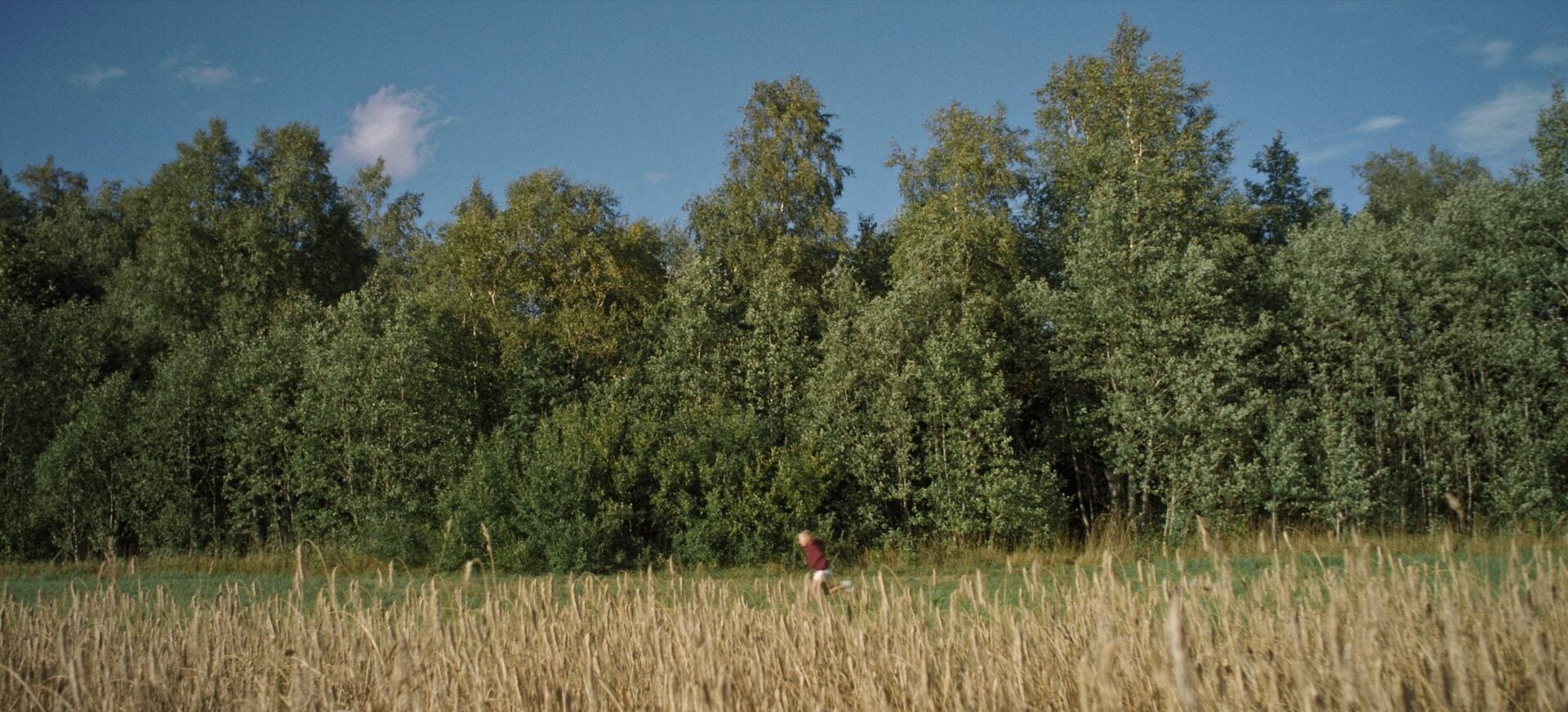 The Revenge — still 1