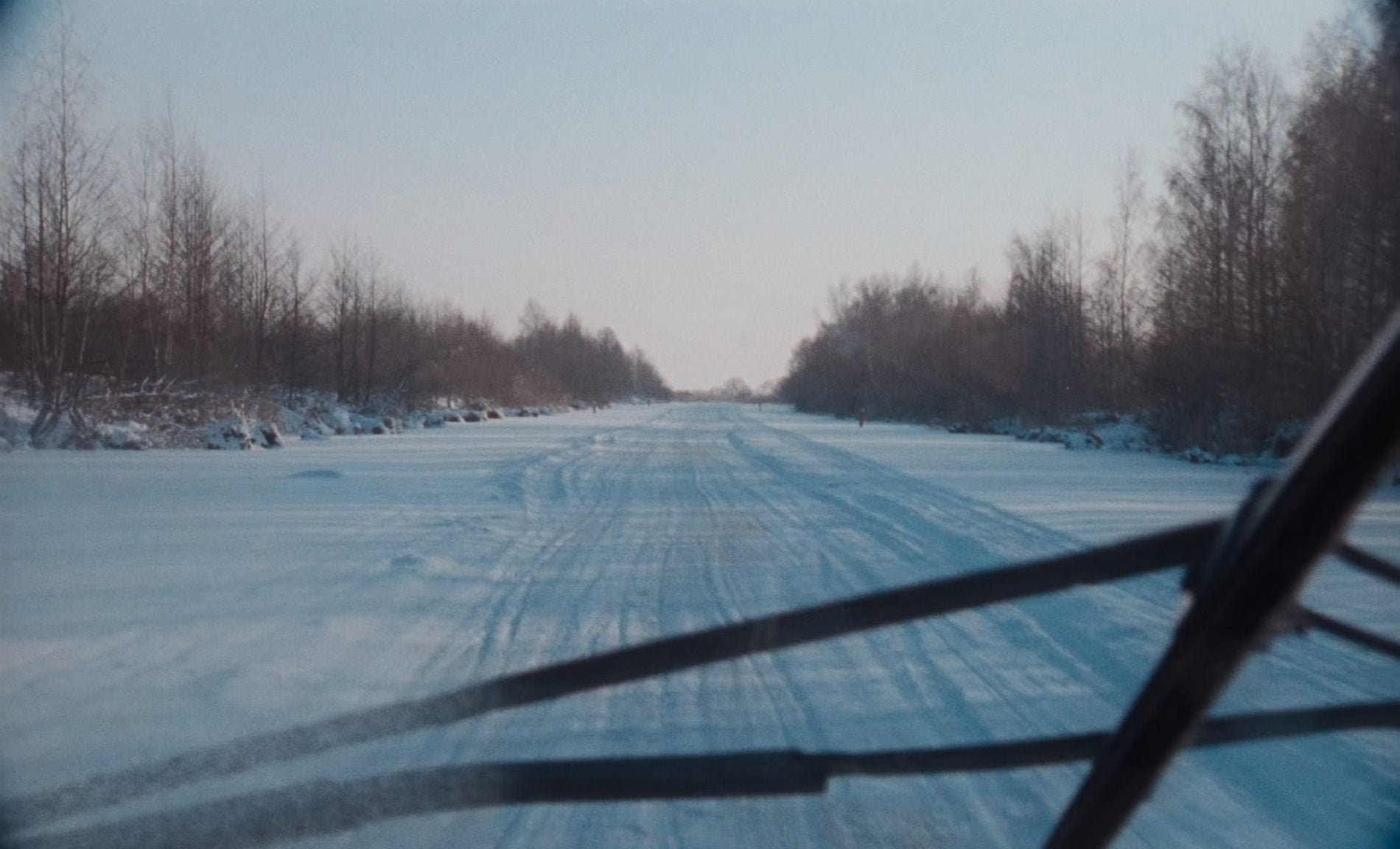 Cohabitants — still 20